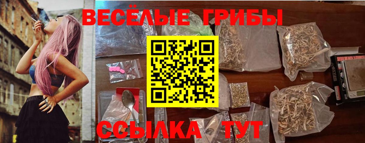 Псилоцибиновые грибы Psilocybine cubensis  Вход с VPN  Галлюциногенные грибы GOLDEN TEACHER  Среднеуральск 